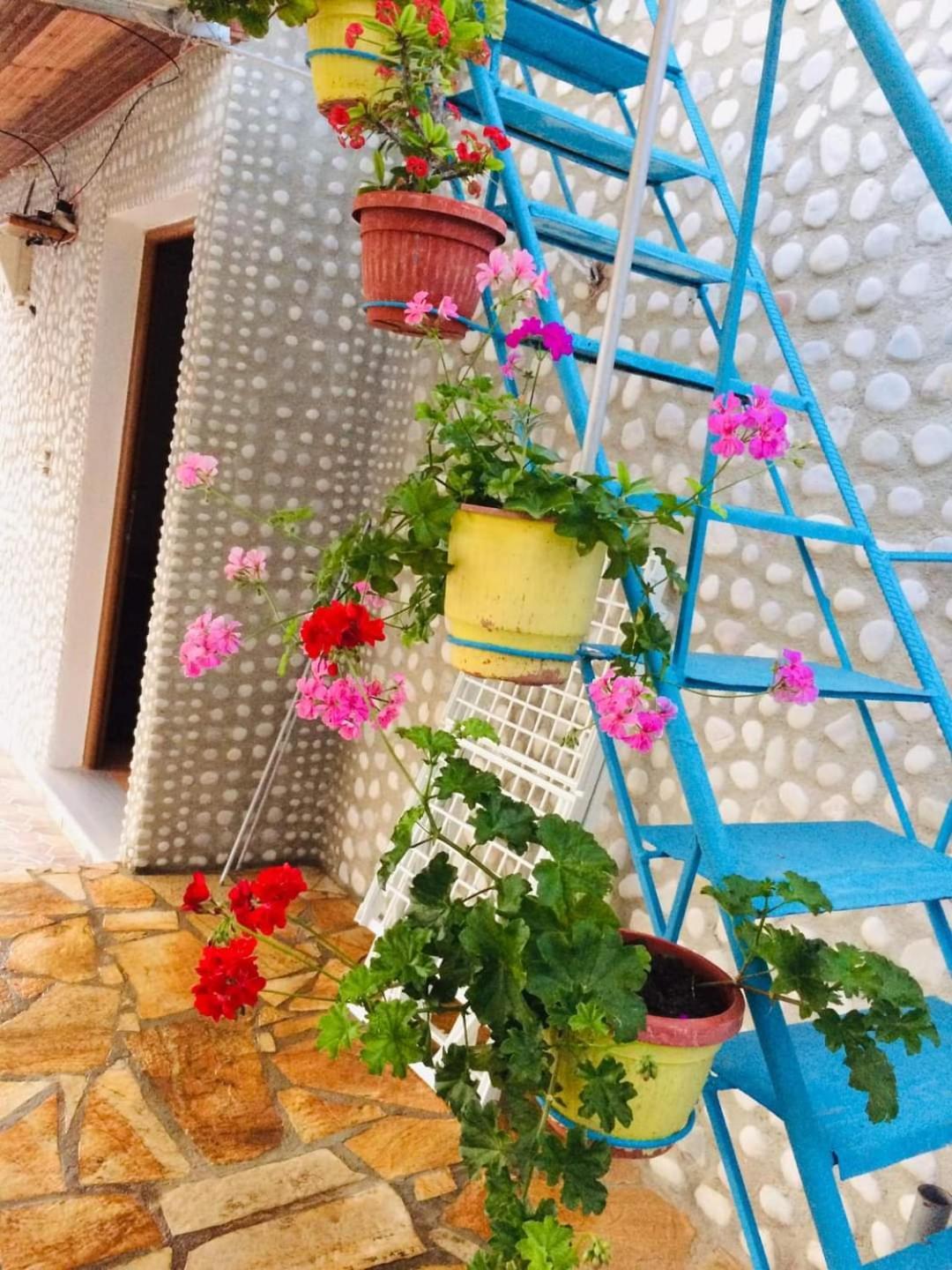 Relaxation Place Hotel Himare Exterior photo